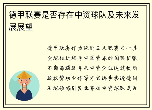 德甲联赛是否存在中资球队及未来发展展望